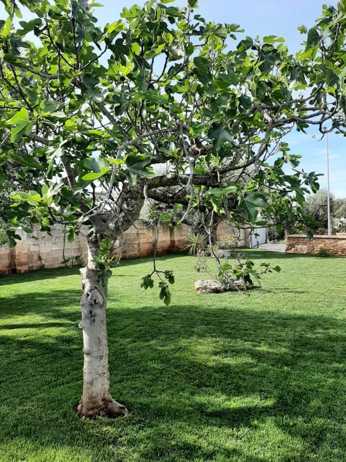 Corte Del Sole Manduria Ngoại thất bức ảnh